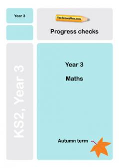 Year 3 Maths Progress checks