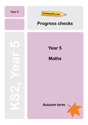 Year 5 maths progress check