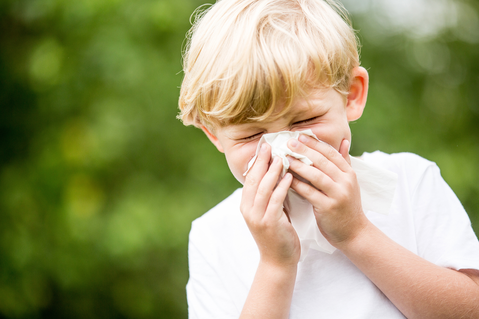 Where Does The Term Hay Fever Come From