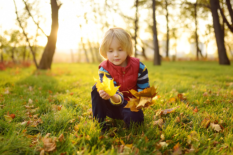 forest-school-ideas-for-kids-forest-school-wild-play