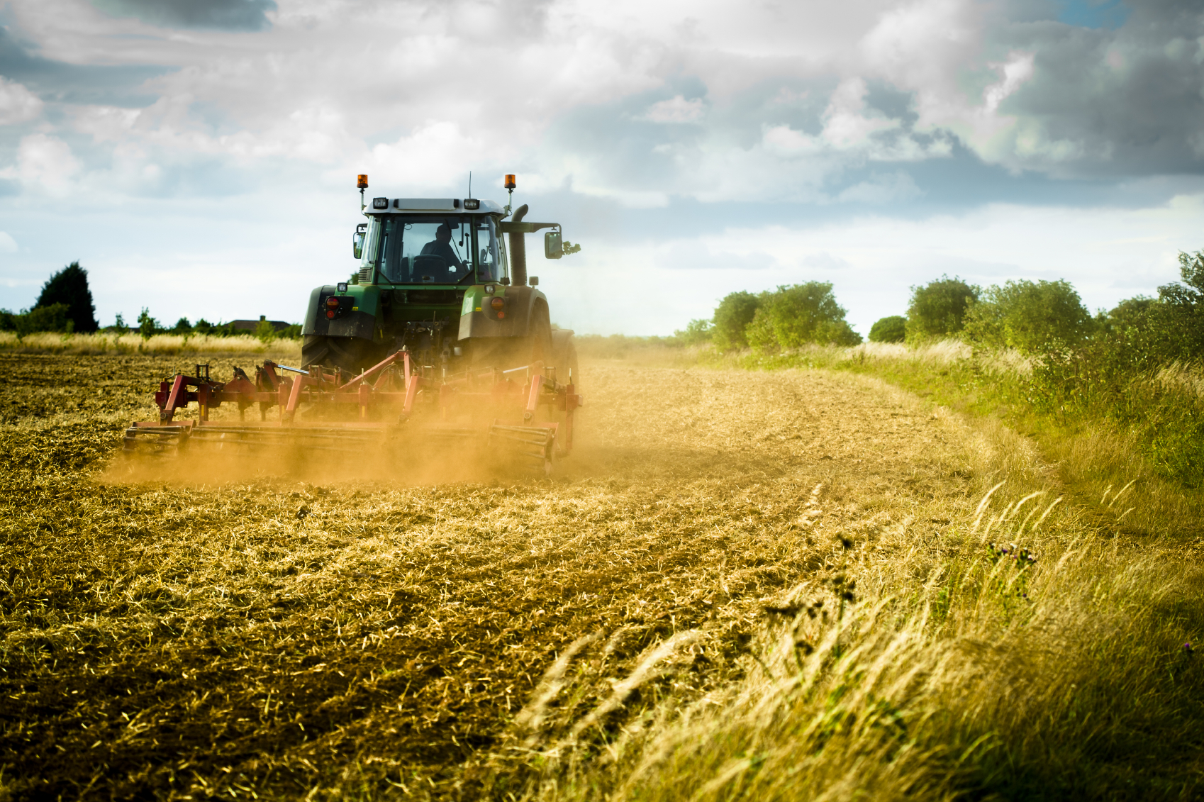 Food and farming | TheSchoolRun