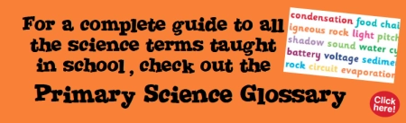 Science Glossary