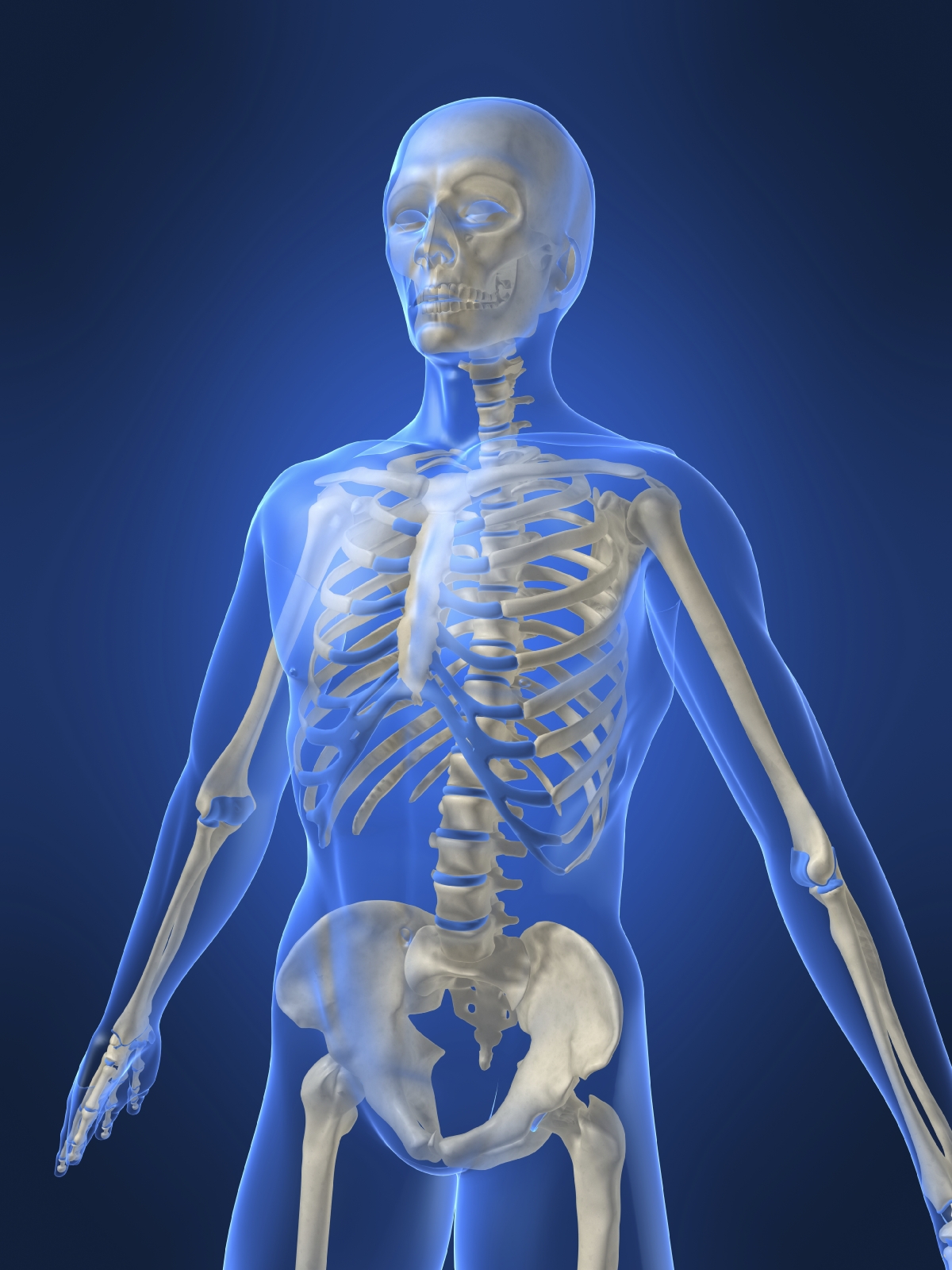 Bones and muscles | TheSchoolRun