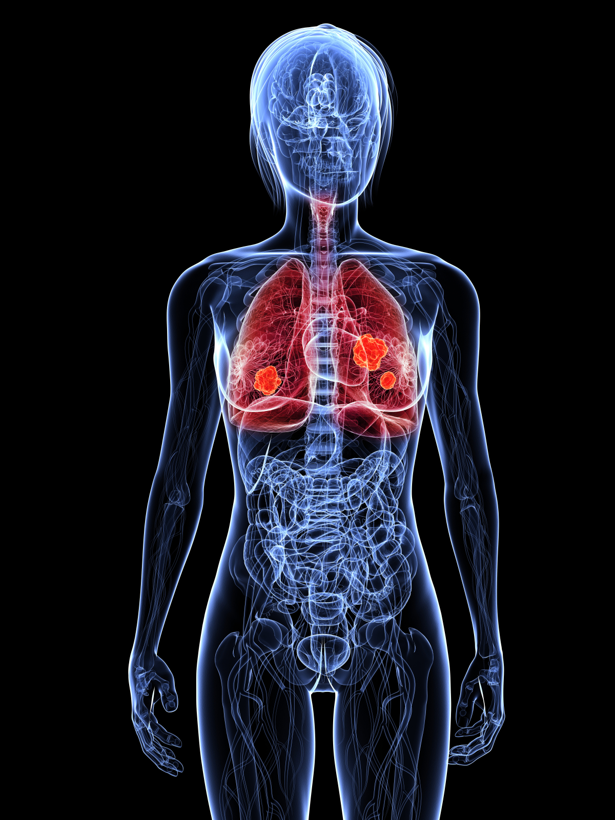 Human respiratory system for KS1 and KS2 children | Lungs and