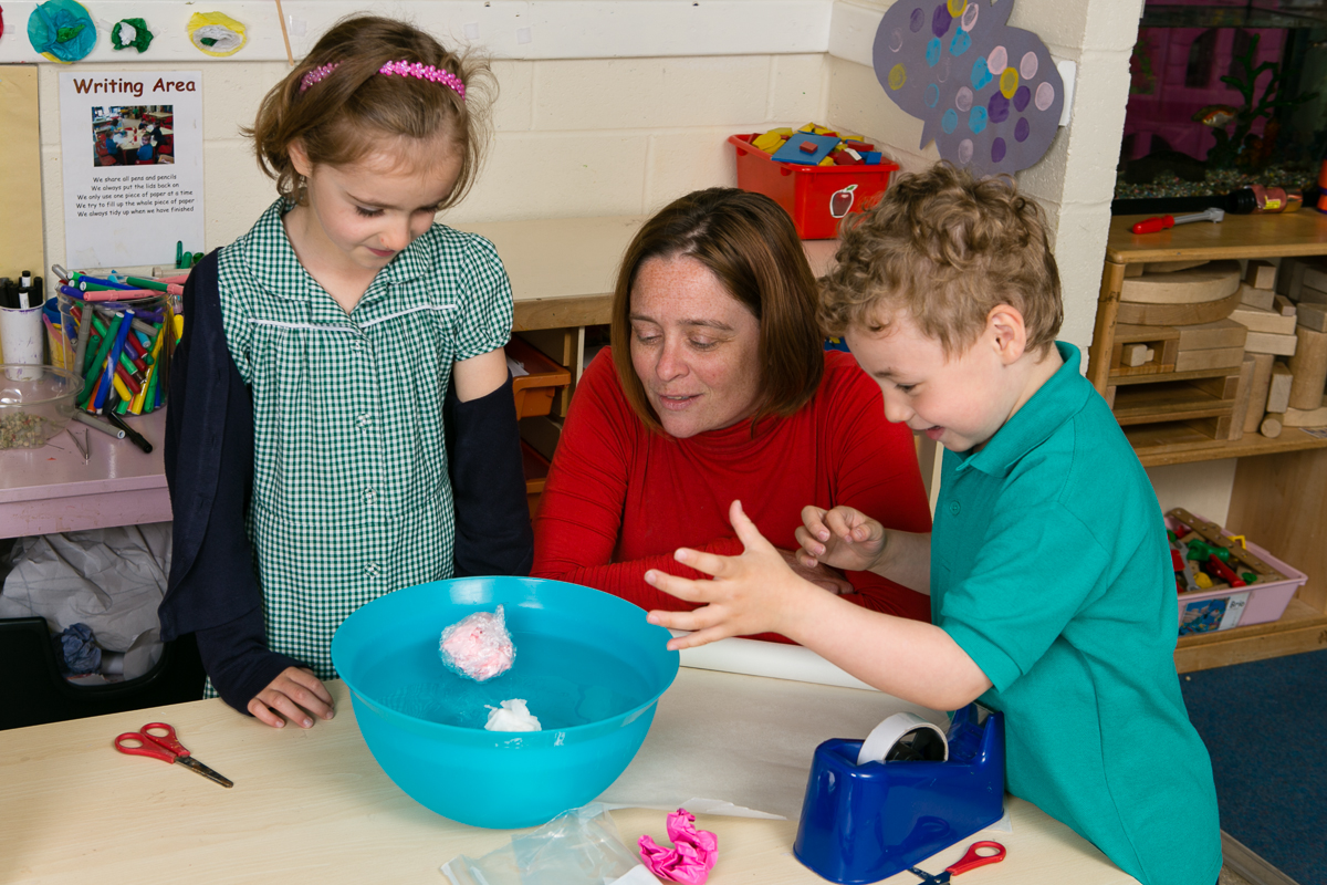 key stage 1 science theschoolrun