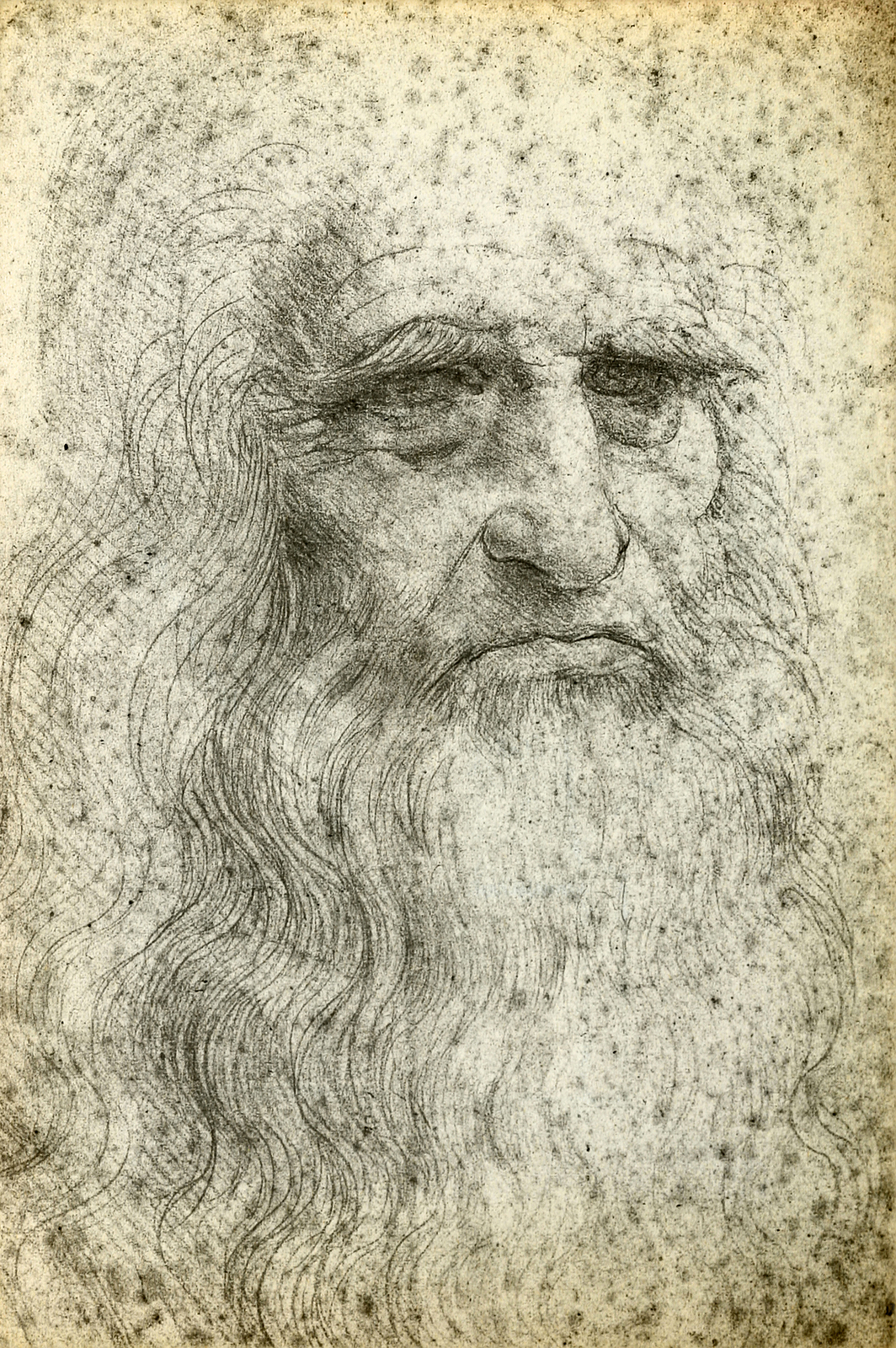How to draw Leonardo Da Vincis Vitruvian Man Real Easy  Step by Step   YouTube