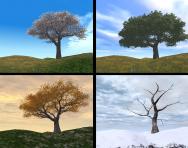 Seasons explained | Seasons for KS1 children | Spring, summer, winter ...