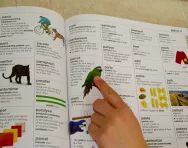 Child using a dictionary