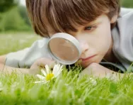 Little boy studying flower