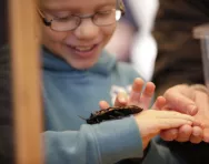 Manchester Museum reviewed for parents