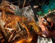 National Museum Cardiff reviewed for parents