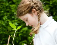 Primary school gardening projects