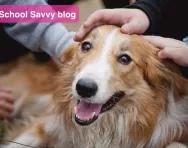 Dog being stroked by children