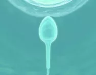 Sperm and egg