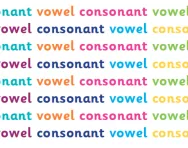 What are vowels and consonants?