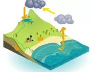 Water cycle illustration