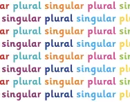 What are singular and plural?