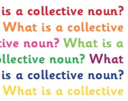 What is a collective noun?