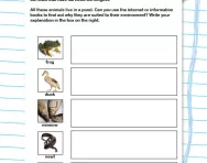Animals and their habitats worksheet