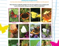 Be a butterfly spotter worksheet