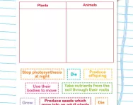 Classification of plants and animals activity