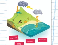 Complete the water cycle worksheet