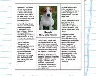 Fact and opinion in a newspaper article worksheet