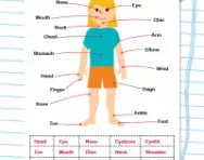 Know your body and its parts