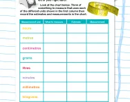 Measuring using different units activity