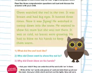 Reading comprehension: the /ow/ sound (Phase 3 phonics)