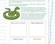 Reading comprehension: adders worksheet