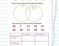 Venn and Carroll diagrams worksheet