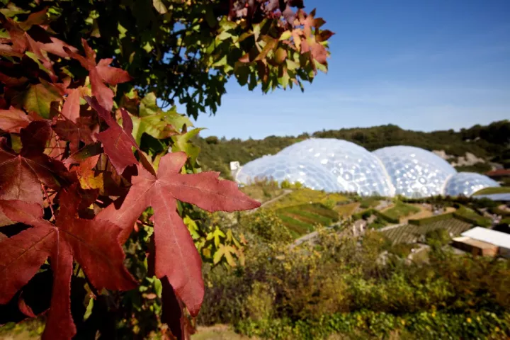 © Steve Tanner / The Eden Project