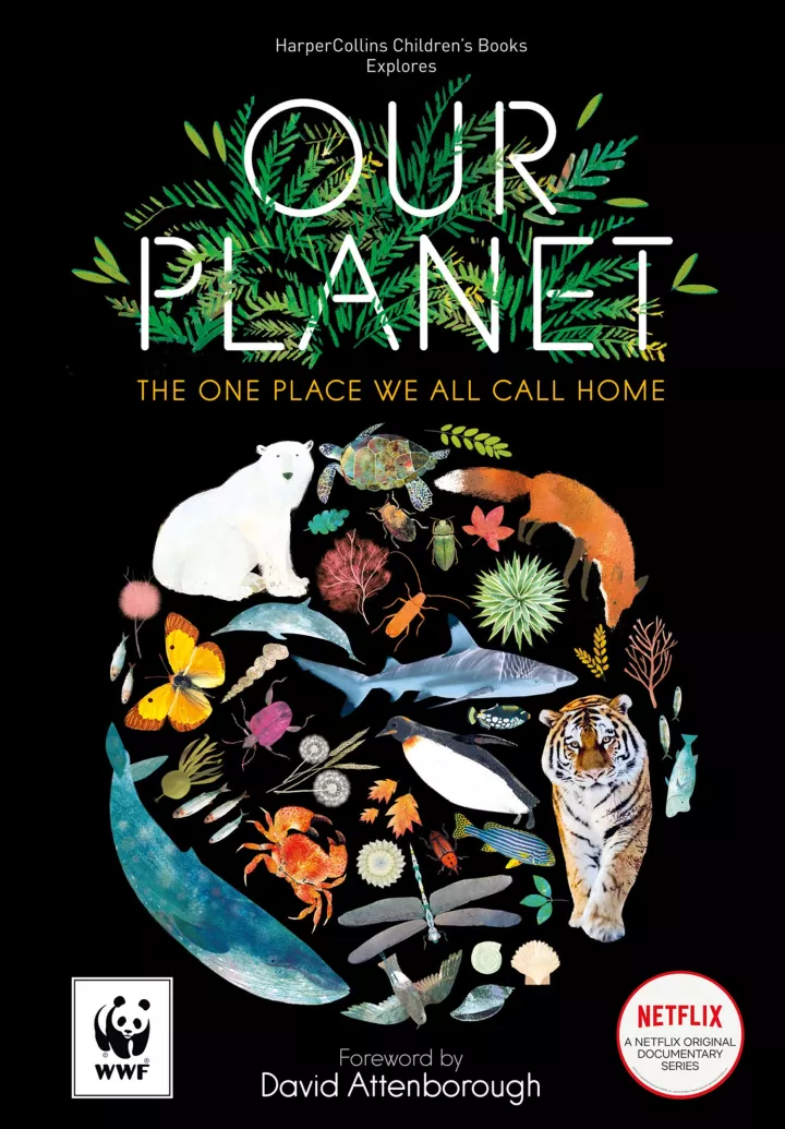 Our Planet: The official children’s companion to the Netflix documentary series by Matt Whyman