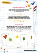 year 1 science worksheets and activities theschoolrun