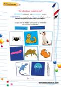 Year 4 Science worksheets by School Year | TheSchoolRun