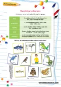 Classifying vertebrates worksheet