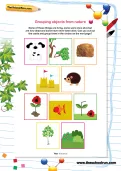 Grouping objects from nature worksheet