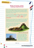 Motte and bailey castles: reading comprehension