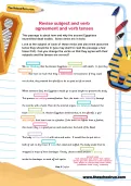 Revise subject and verb agreement and verb tenses worksheet