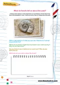 What do fossils tell us about the past worksheet