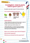 What plants need to grow