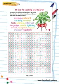 Y5 and Y6 spelling wordsearch