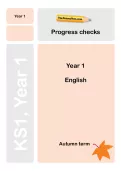 Y1 English Progress checks, TheSchoolRun