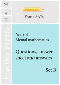 TheSchoolRun optional SATs papers: Y4 maths set B