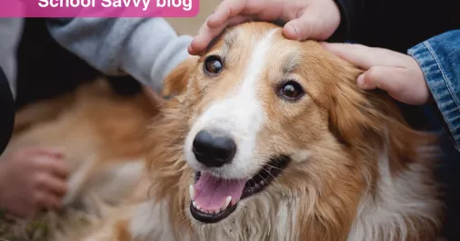 Dog being stroked by children