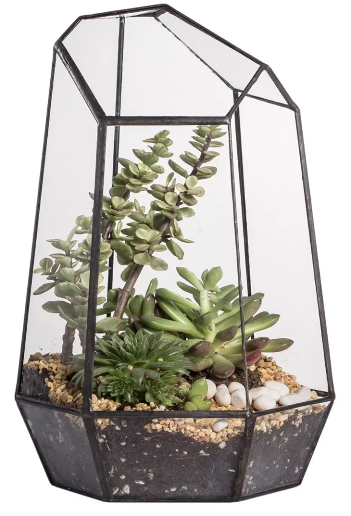 Best Teacher Glass Terrarium