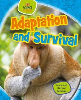 animal adaptations primary homework help