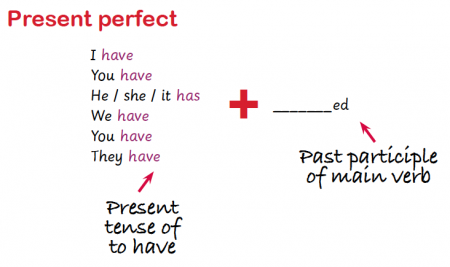 What are the present perfect and the past perfect?