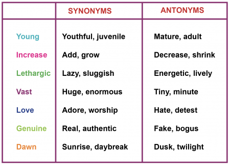 Synonyms & Antonyms  Differences, Types & Examples - Video